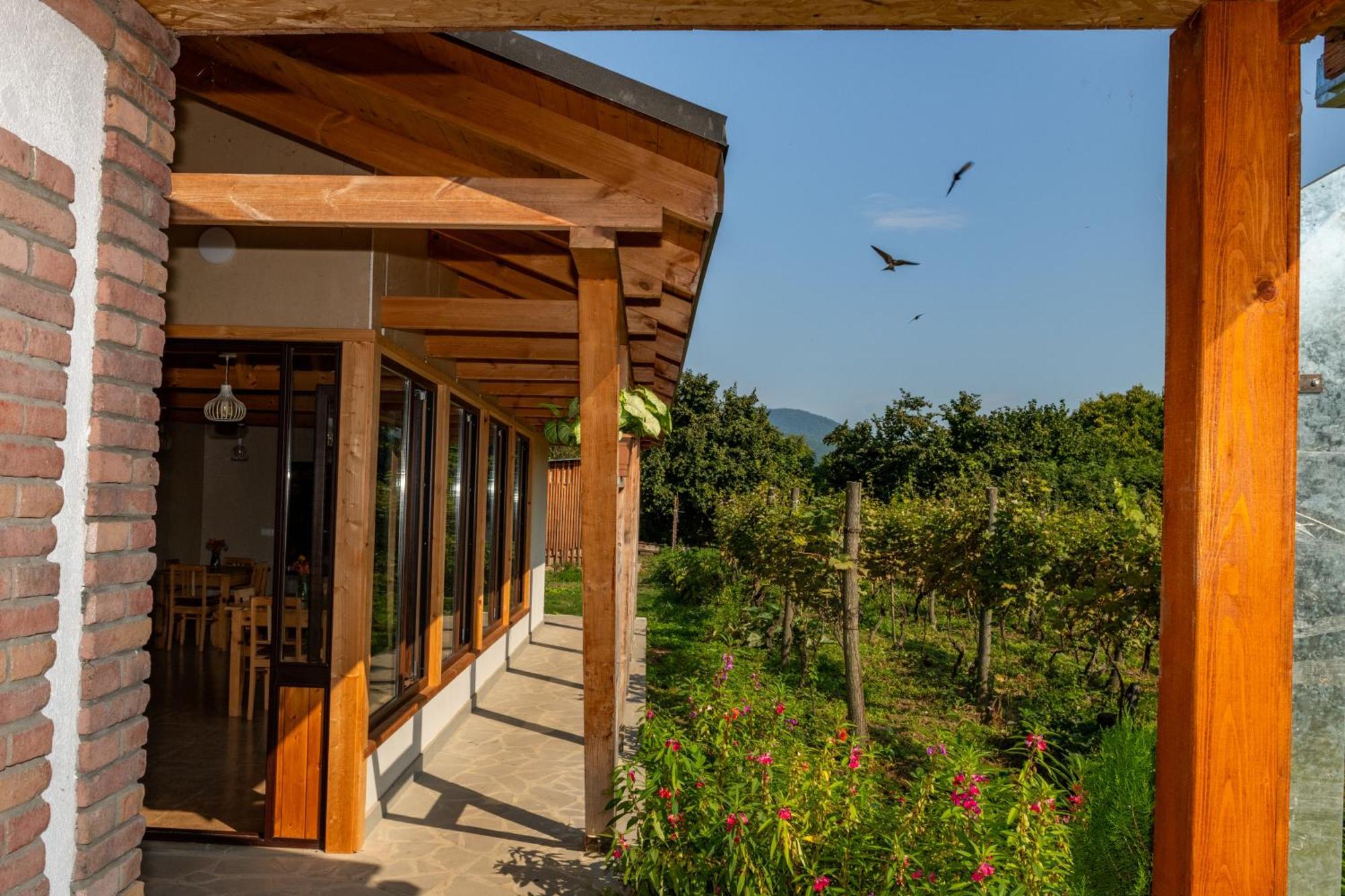 Alvani Inn K'vemo Alvani Экстерьер фото